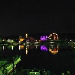 メバリングのはずがアジング